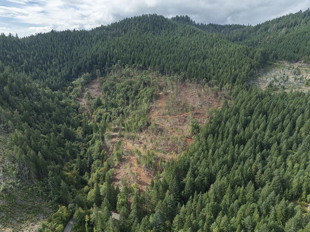 1132 Bridge Lane, Wolf Creek, OR 97497 Main Photo