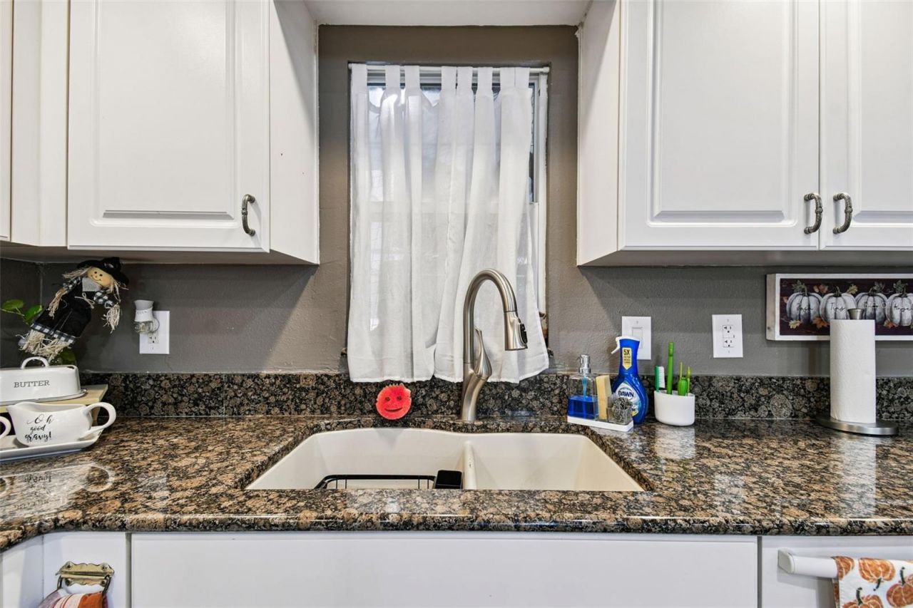 39501 Meadowood Loop, Zephyrhills, FL 33542 Photo