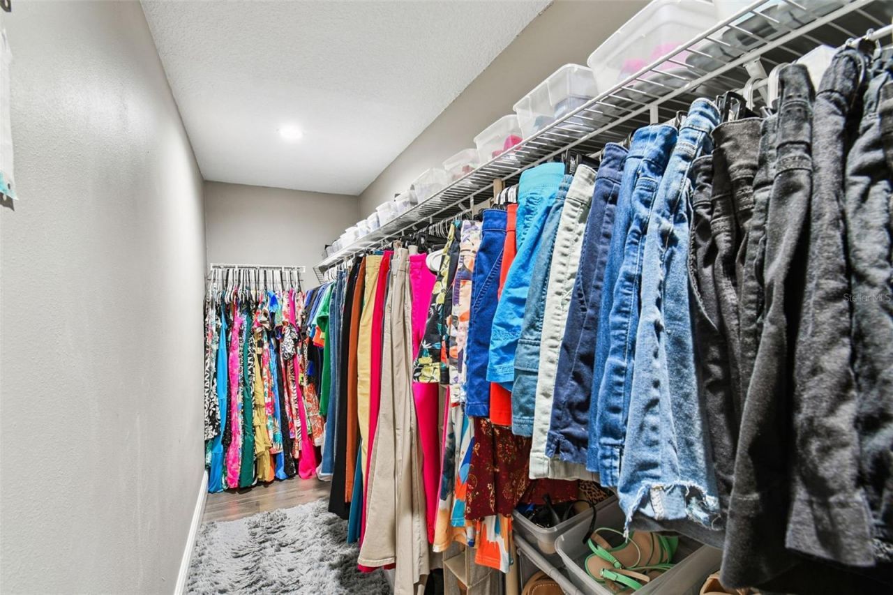 39501 Meadowood Loop, Zephyrhills, FL 33542 Photo