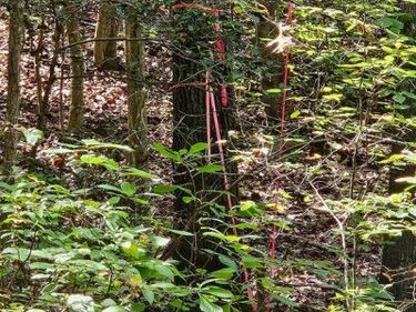 00 OFF OF LONG BRANCH ROAD, WOODFORD, VA 22580