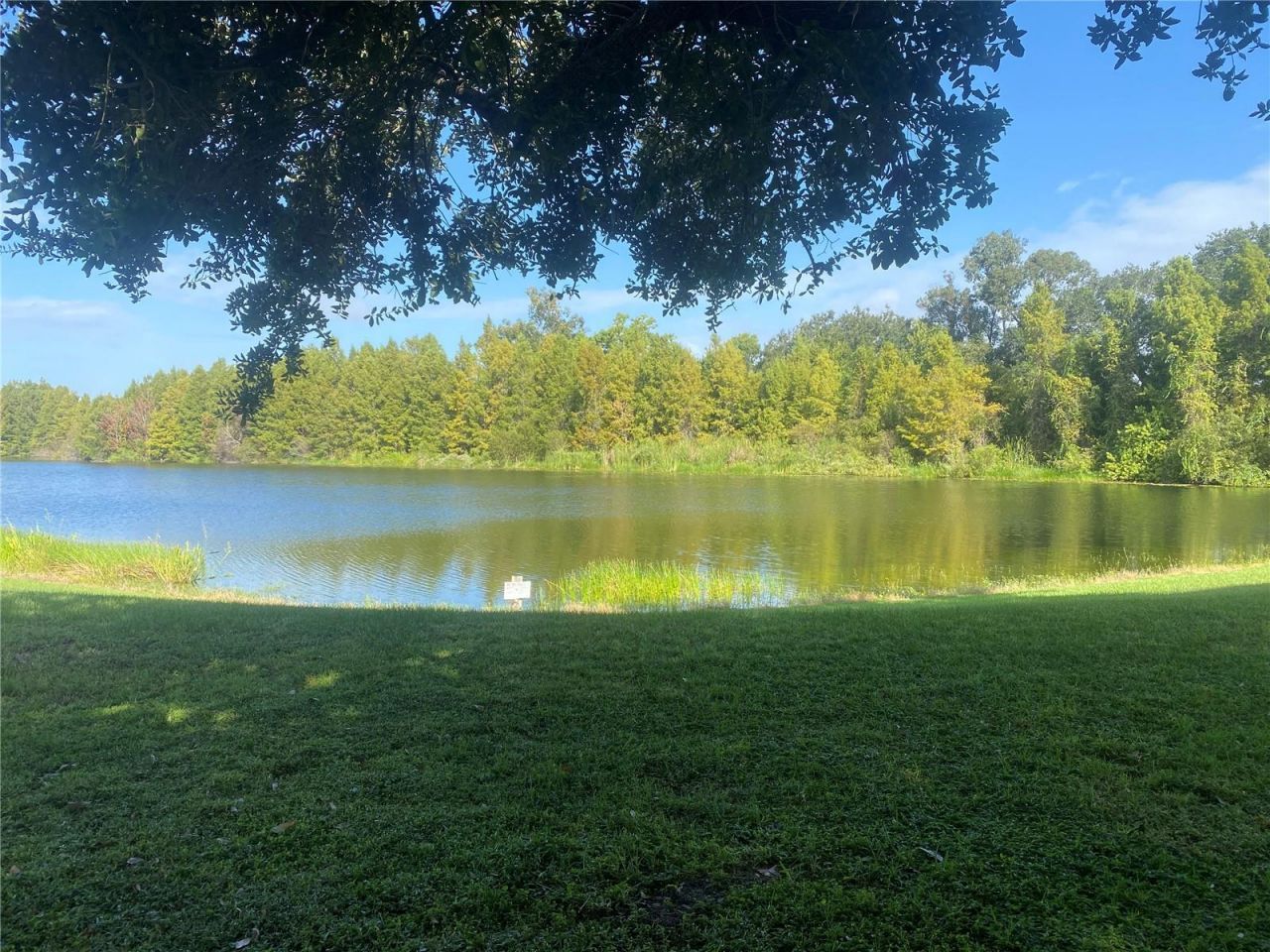 4400 Castlepalm Road, Orlando, FL 32839 Photo