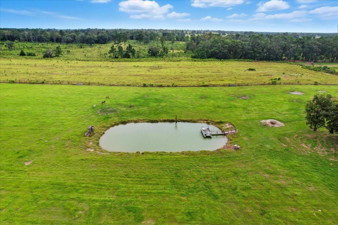 9897 NW 160 Avenue, Morriston, FL 32668 Photo