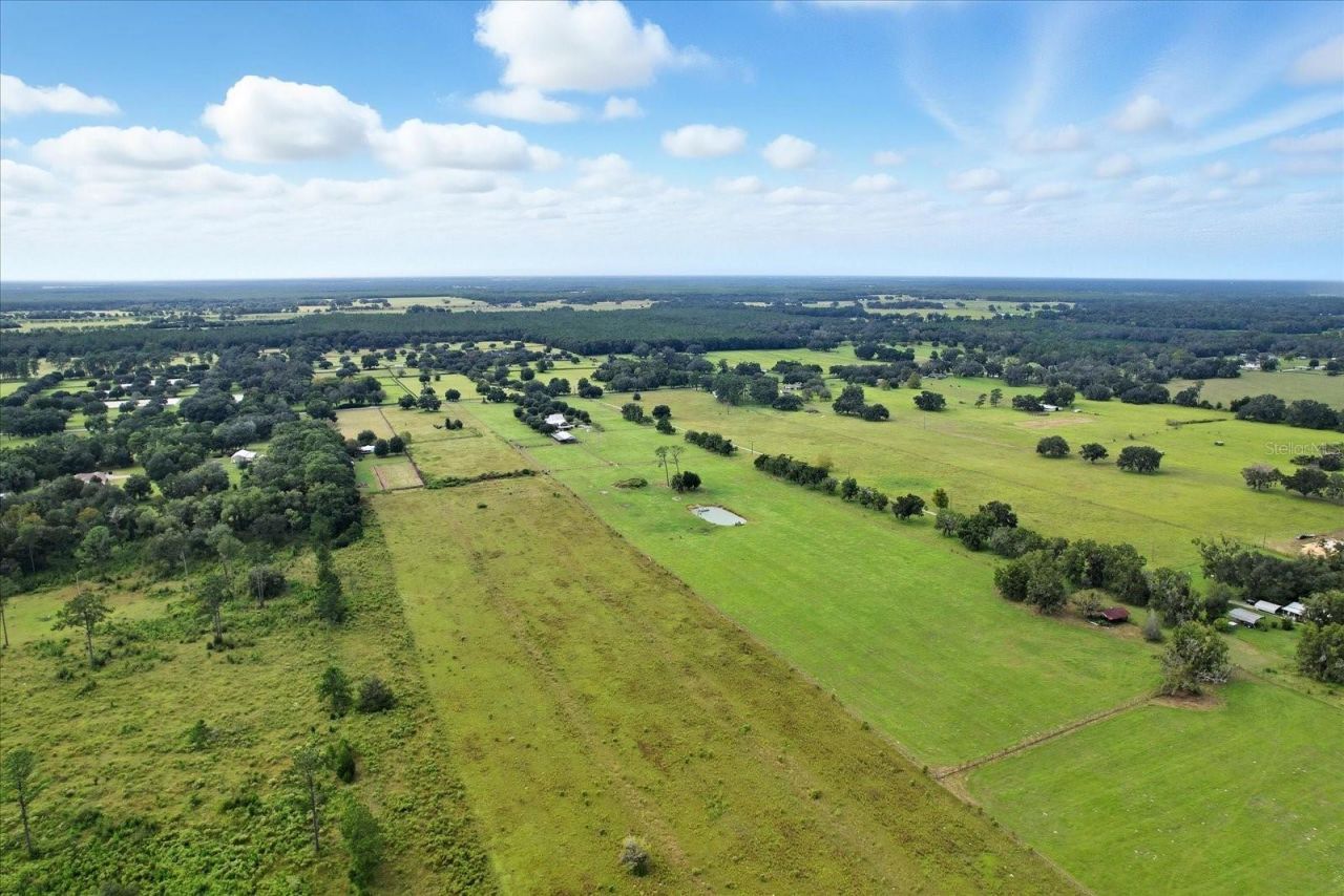 9897 NW 160 Avenue, Morriston, FL 32668 Photo