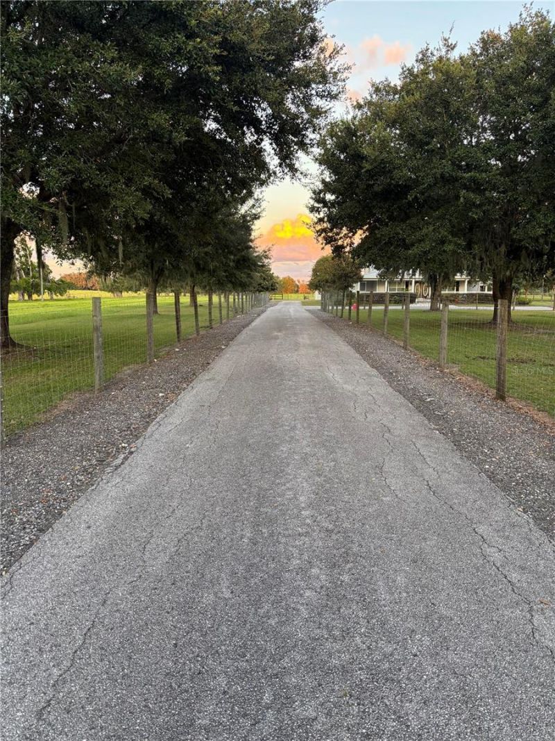 9897 NW 160 Avenue, Morriston, FL 32668 Photo