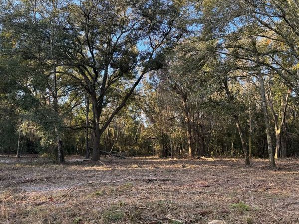 TBD 129TH RD, McAlpin, FL 32062