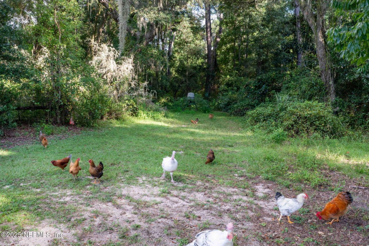 105 Dairy Road, Melrose, FL 32666 Photo