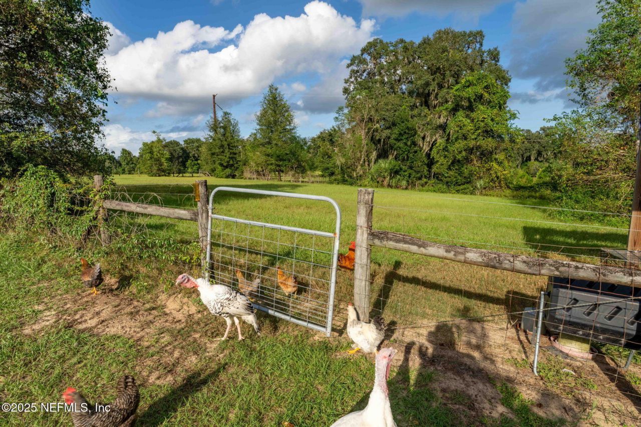 105 Dairy Road, Melrose, FL 32666 Photo
