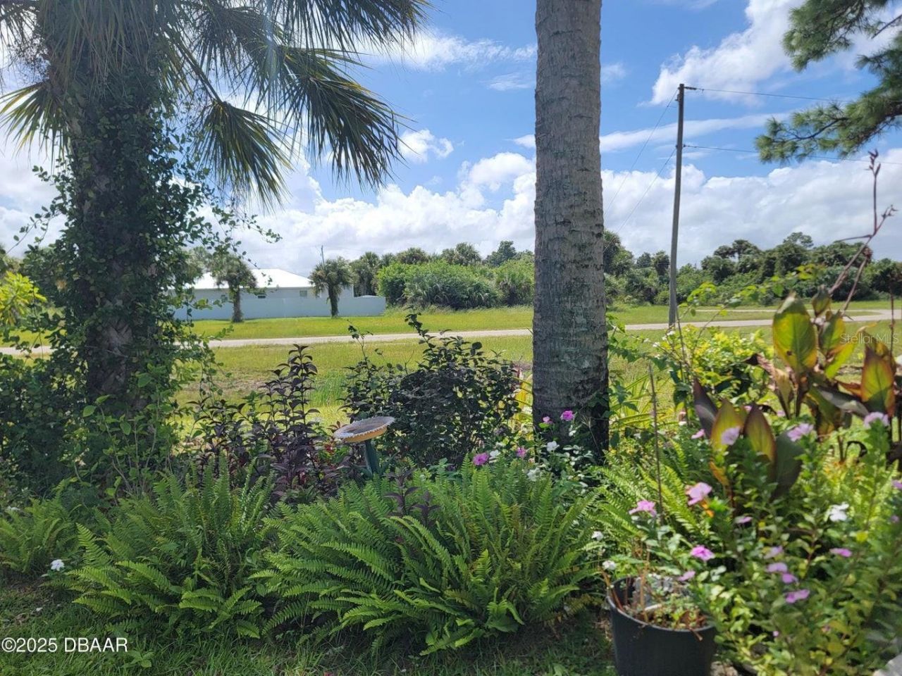 5023 Littlefield Road, Labelle, FL 33935 Photo