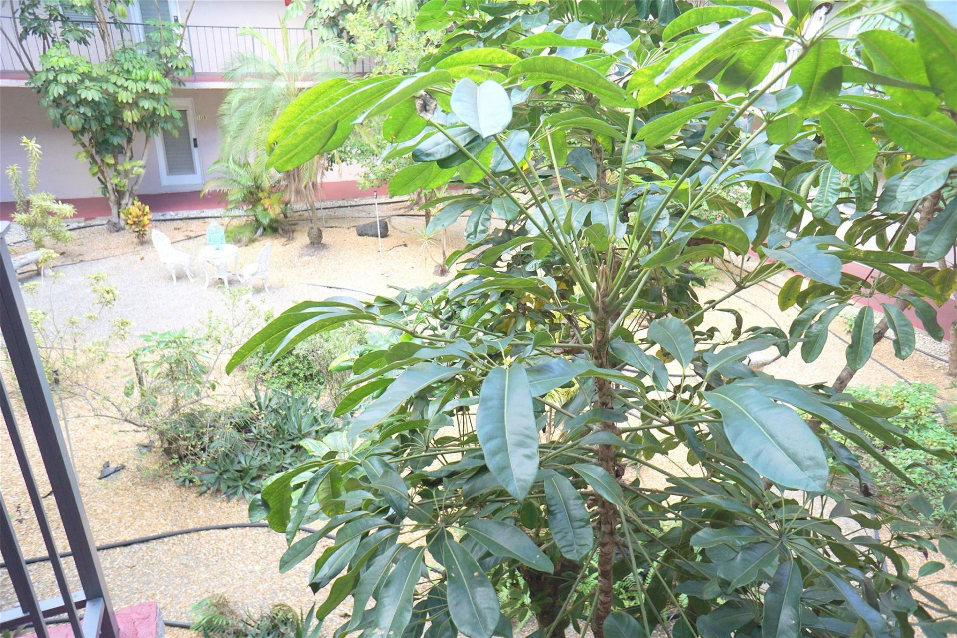 2821 Somerset Drive, Unit 203, Lauderdale Lakes, FL 33311 Photo