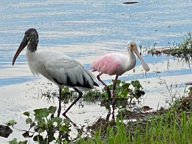 3360 Lake Osborne Drive, Unit 107, Lake Worth Beach, FL 33461 Photo