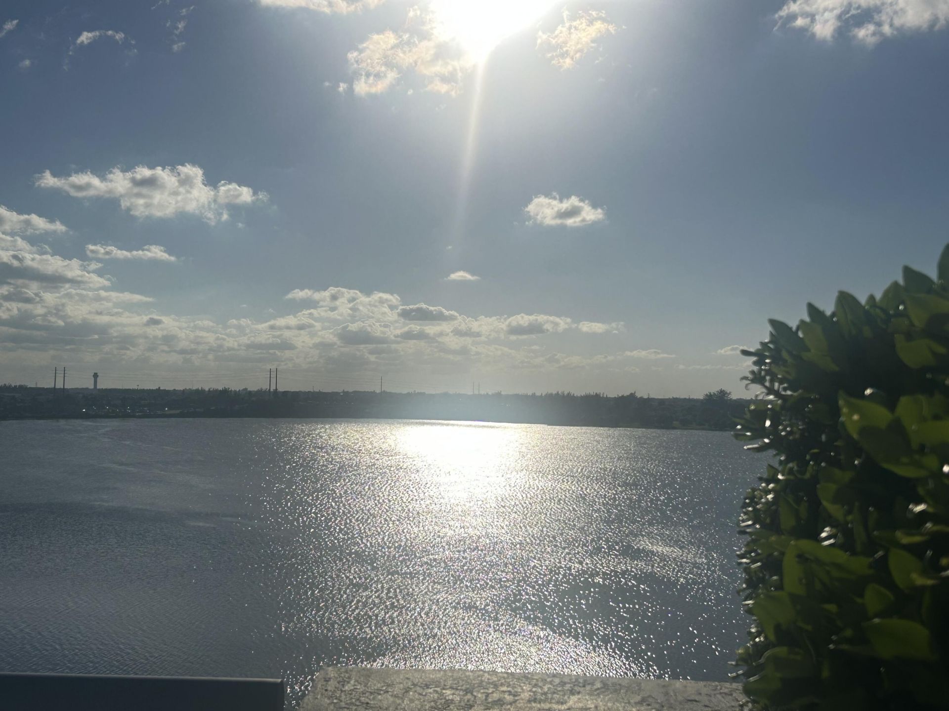 300 S Australian Avenue, Unit 1219, West Palm Beach, FL 33401 Photo