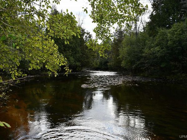 Lot #14 Northwoods Lane, Breen Twp, MI 49834