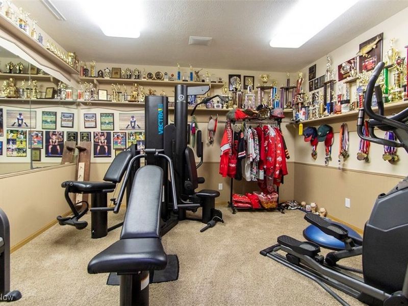 5101 Maple Heights Drive, Medina, OH 44256 Photo 37