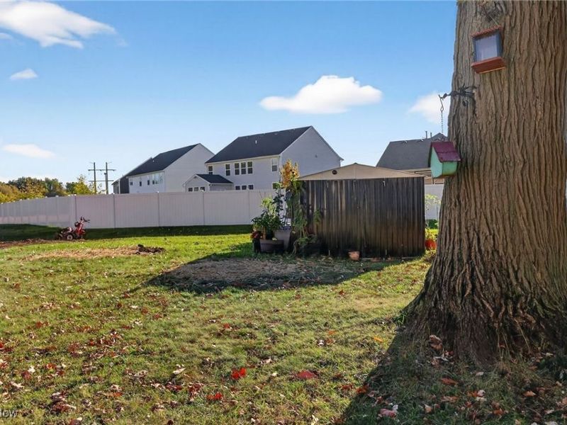 10151 Aldridge Drive, Columbia Station, OH 44028 Photo 4