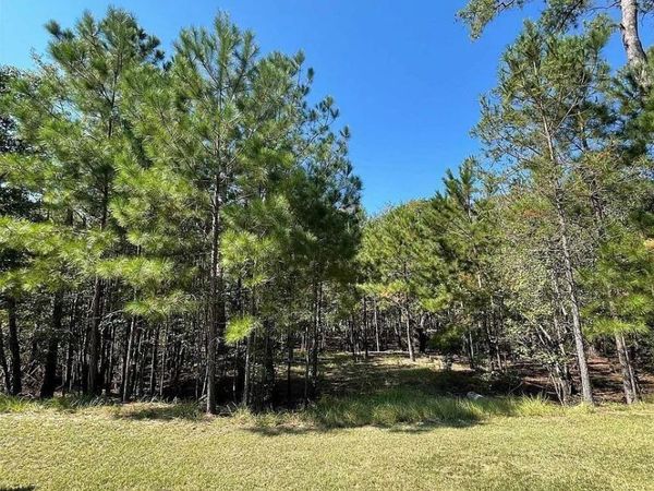 314 Cypress Flat Ct., Conway, SC 29526