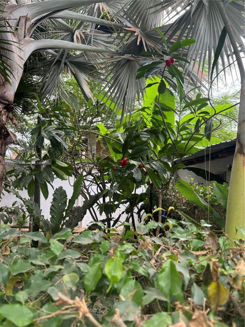 Please Call For Address, Miami, FL 33196 Photo