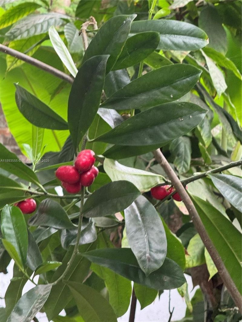 Please Call For Address, Miami, FL 33196 Photo