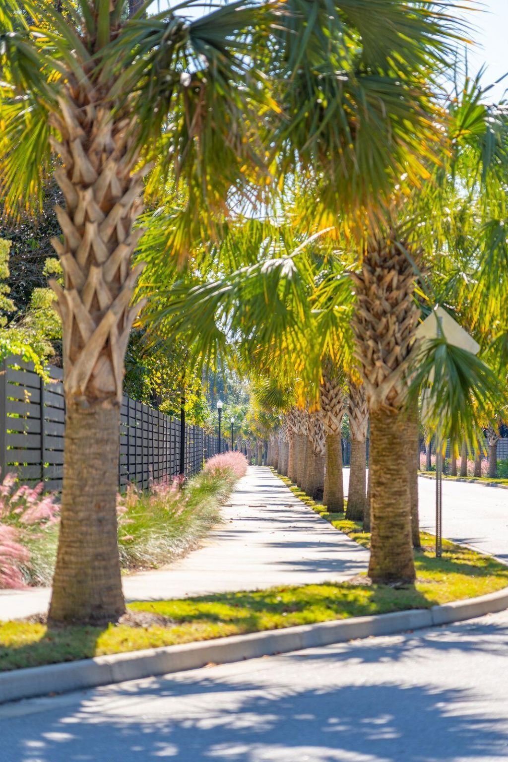 2336 Minifarm Way Photo 104