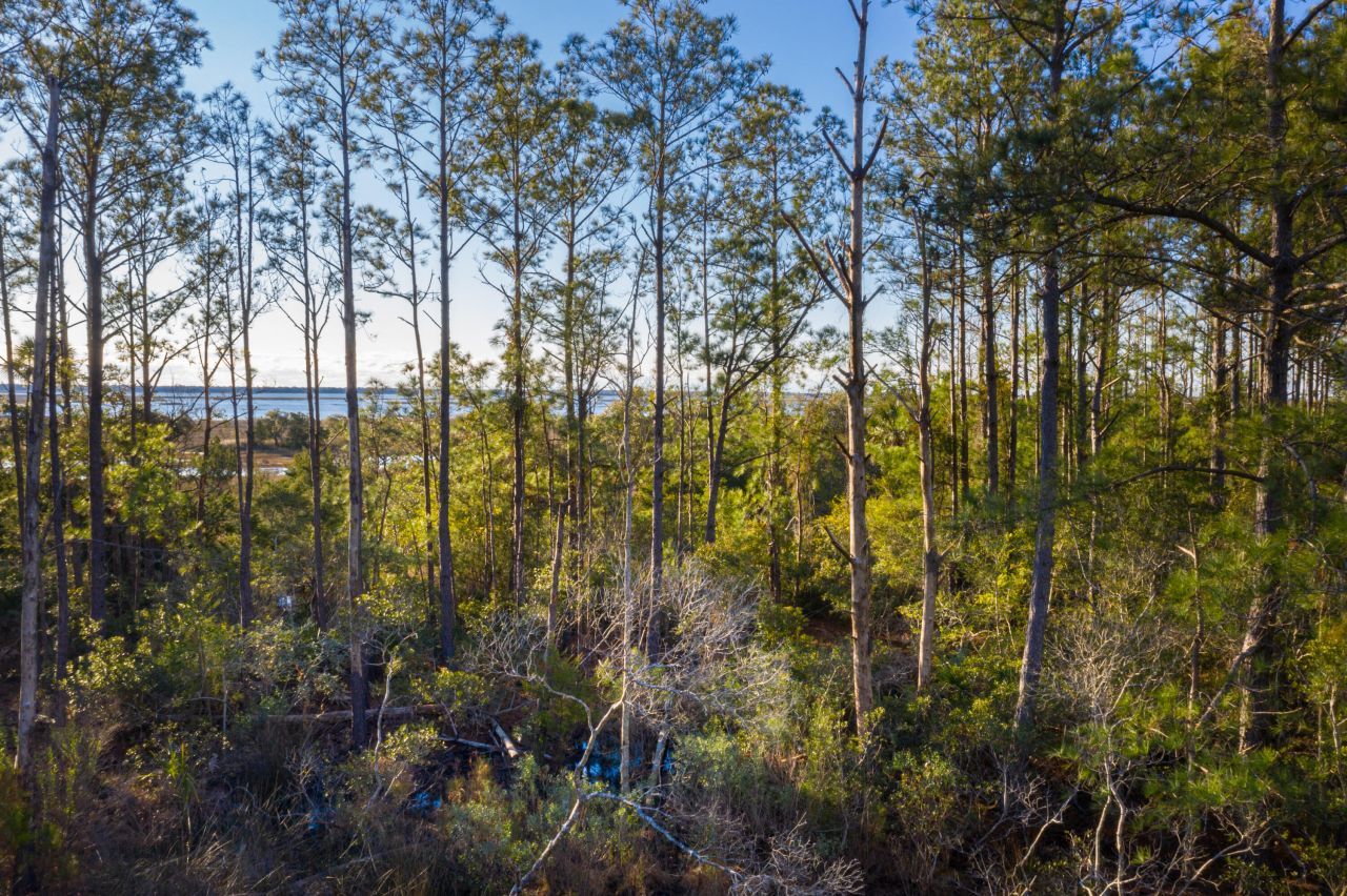 2336 Minifarm Way Photo 107