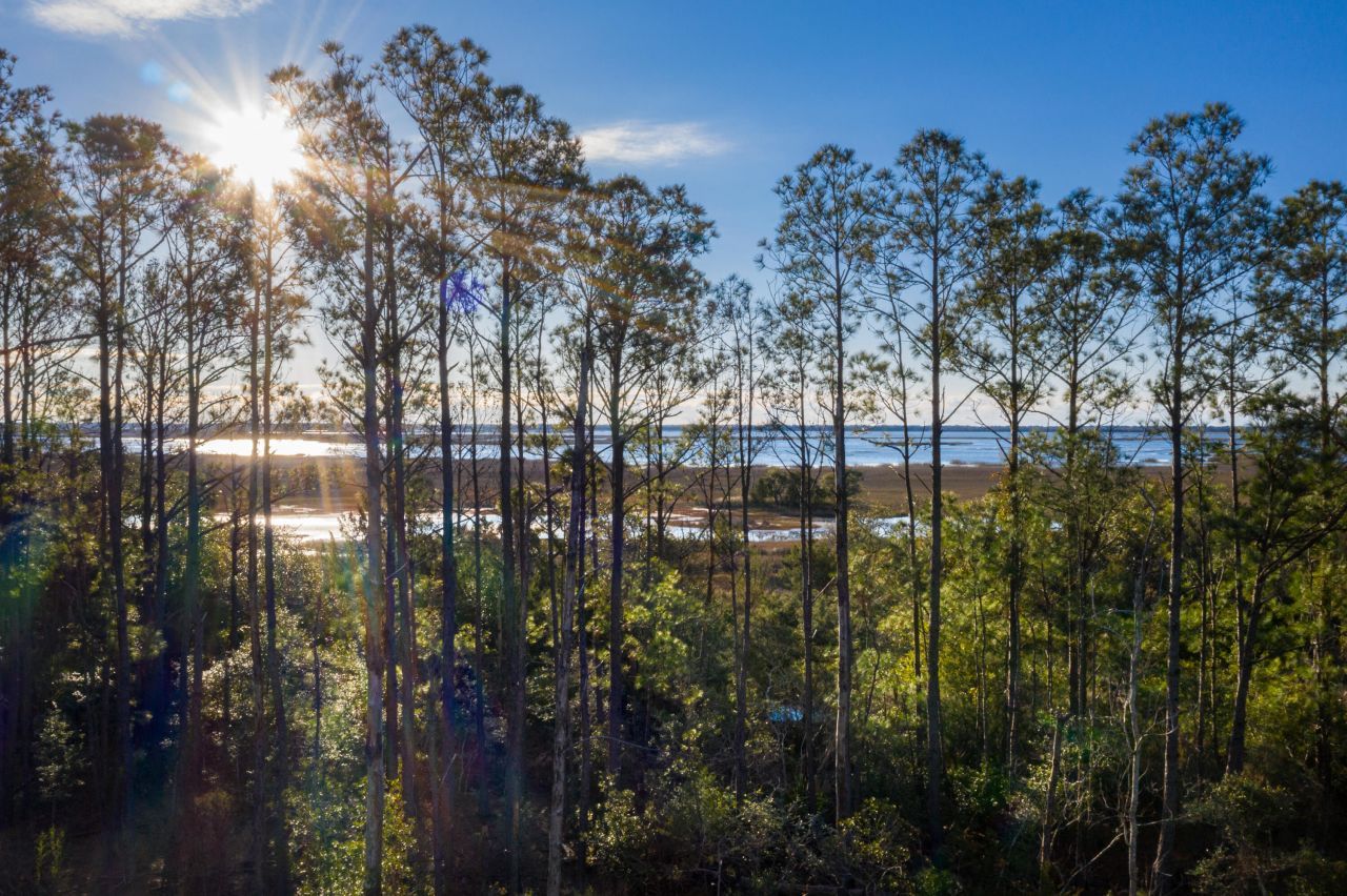 2336 Minifarm Way Photo 109