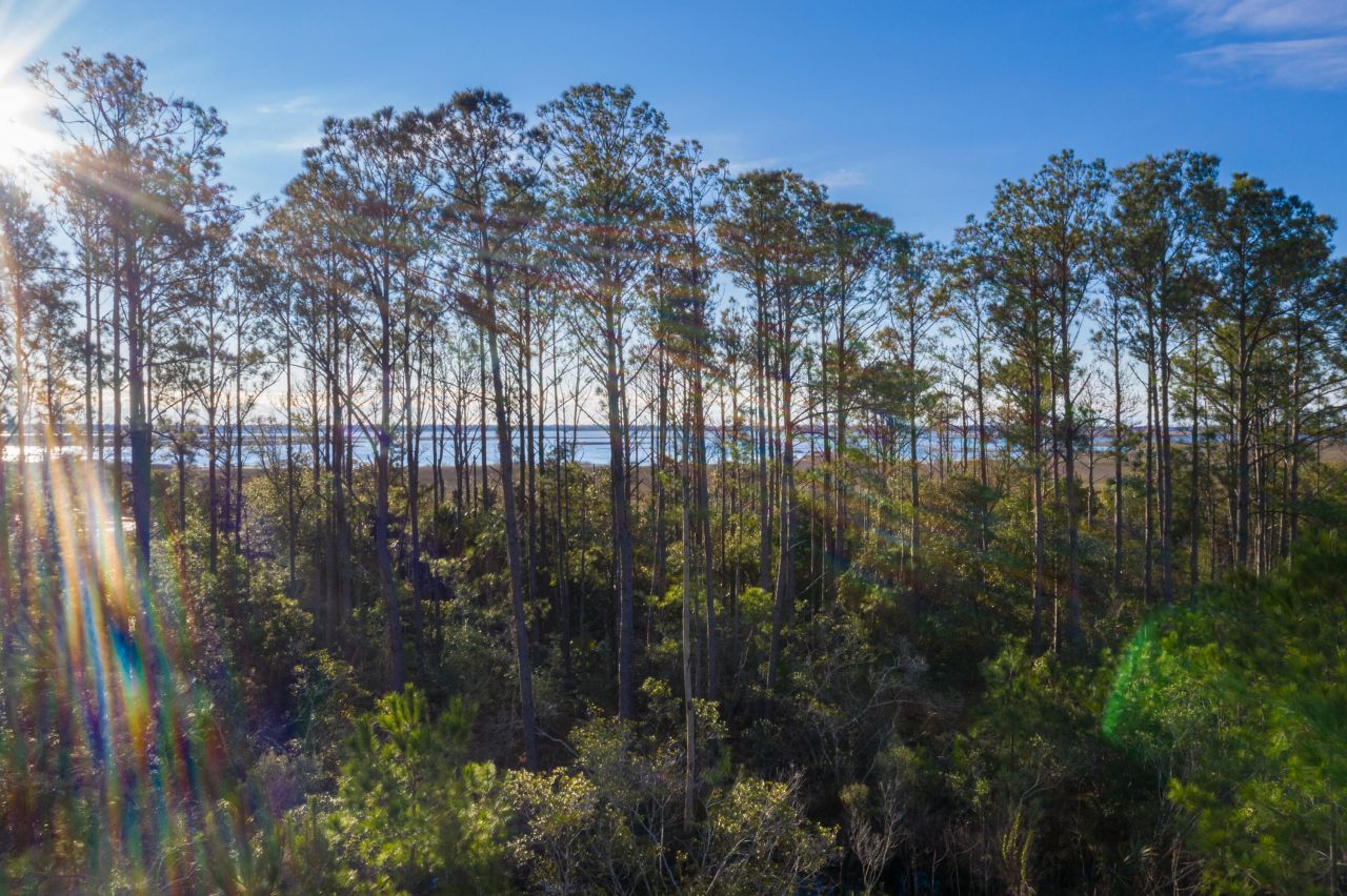 2336 Minifarm Way Photo 111