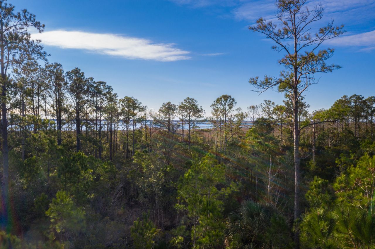 2336 Minifarm Way Photo 112