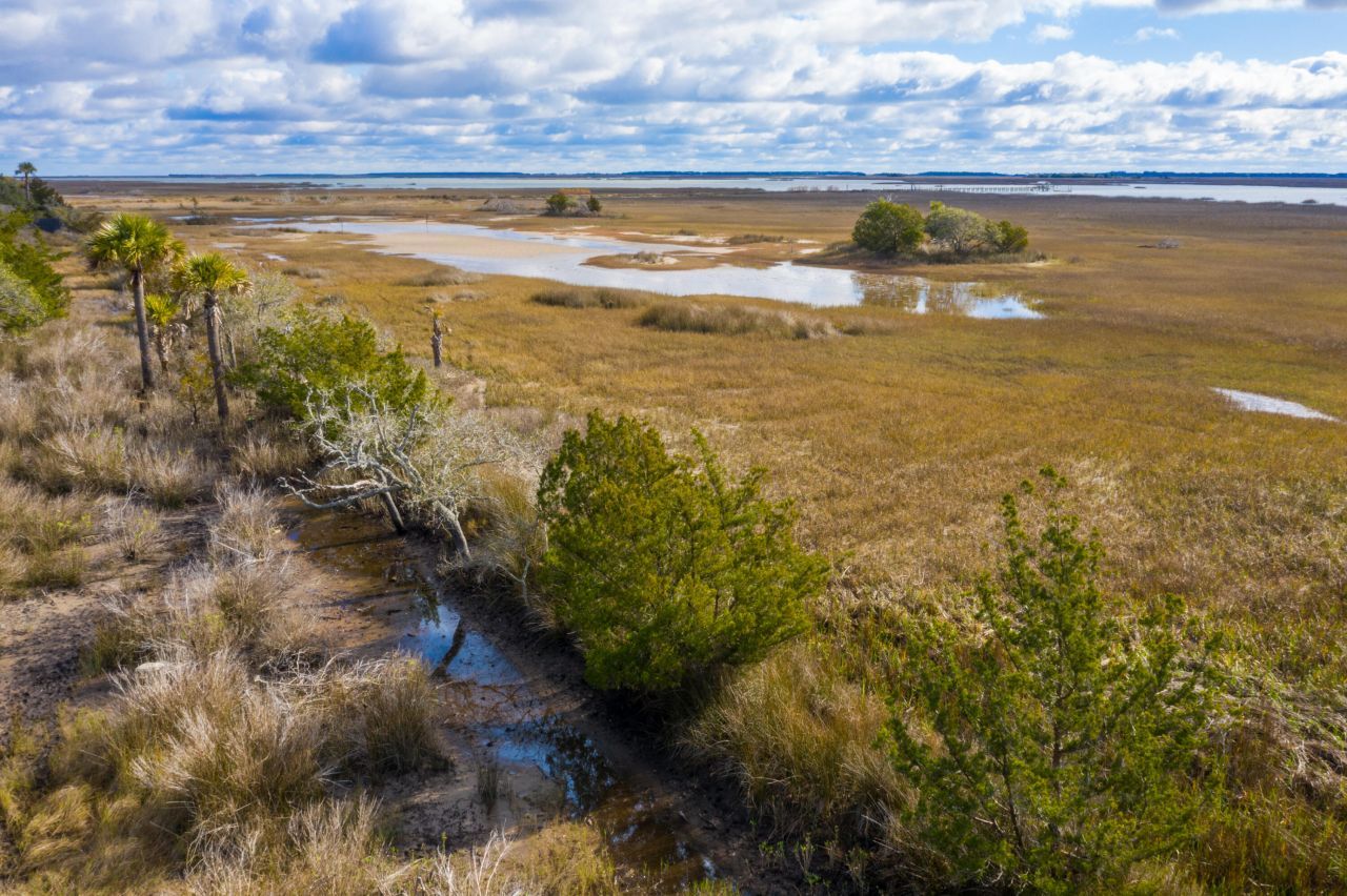 2336 Minifarm Way Photo 115