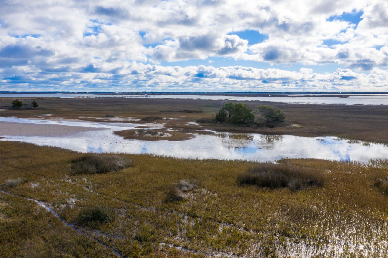 2336 Minifarm Way Photo 117