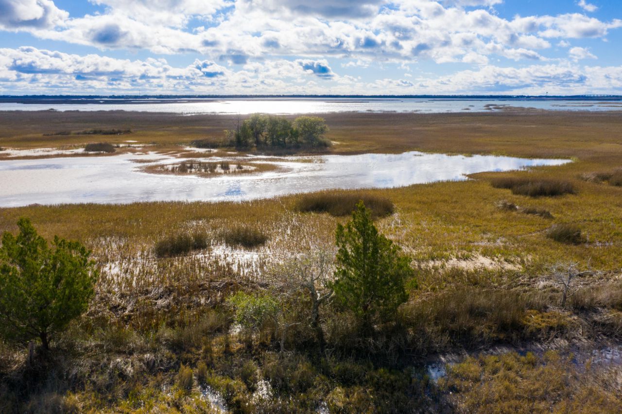 2336 Minifarm Way Photo 120