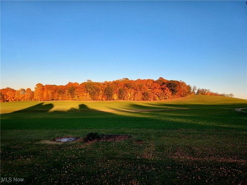 1990 Belfort Avenue NE, Louisville, OH 44641 Photo 30