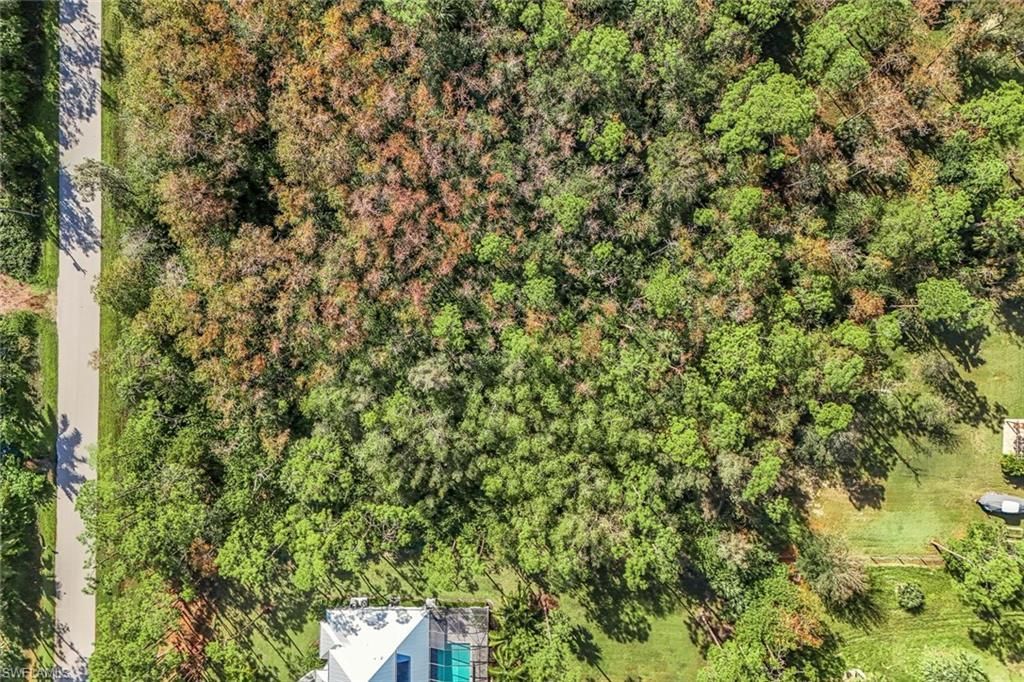 24742 Claire St, Bonita Springs, FL 34135 Photo