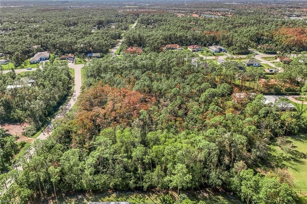 24742 Claire St, Bonita Springs, FL 34135 Photo