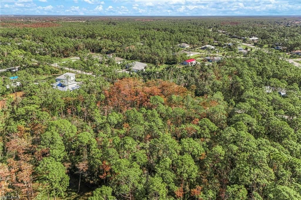 24742 Claire St, Bonita Springs, FL 34135 Photo