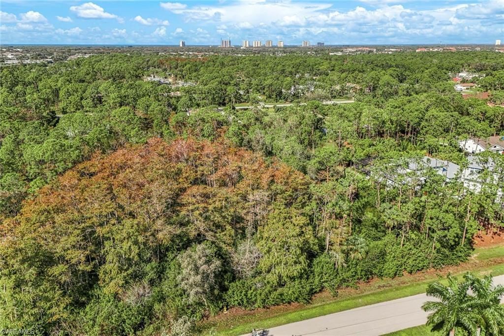 24742 Claire St, Bonita Springs, FL 34135 Photo