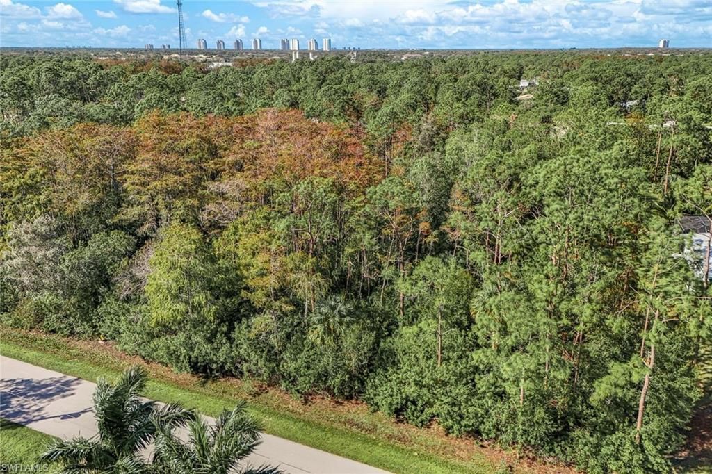 24742 Claire St, Bonita Springs, FL 34135 Photo