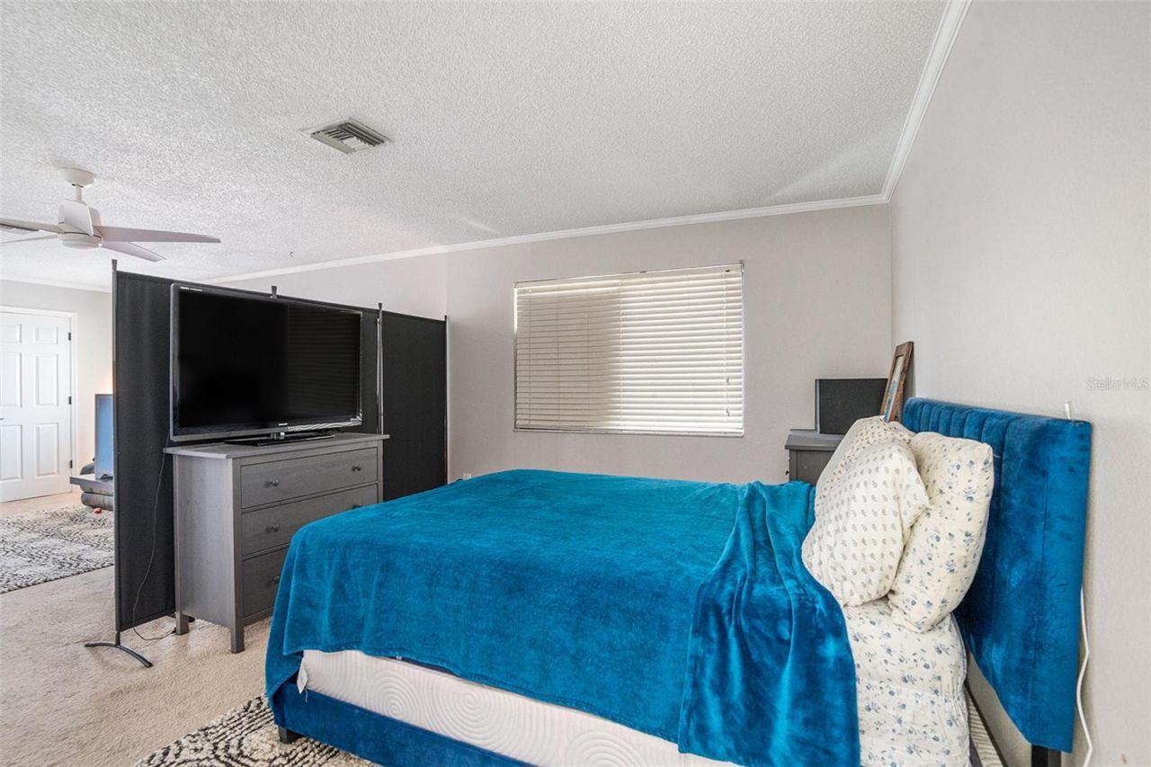 736 Sandy Creek Drive, Brandon, FL 33511 Photo