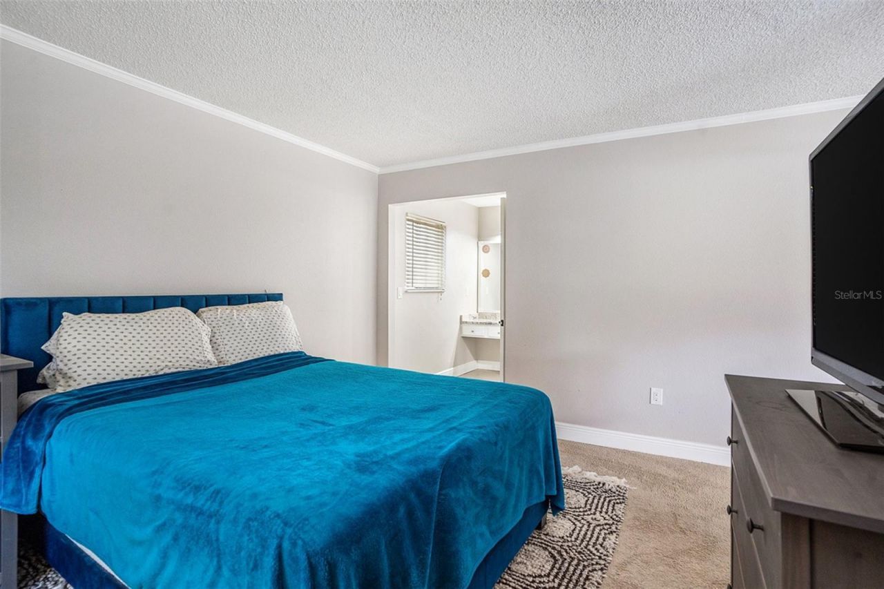 736 Sandy Creek Drive, Brandon, FL 33511 Photo