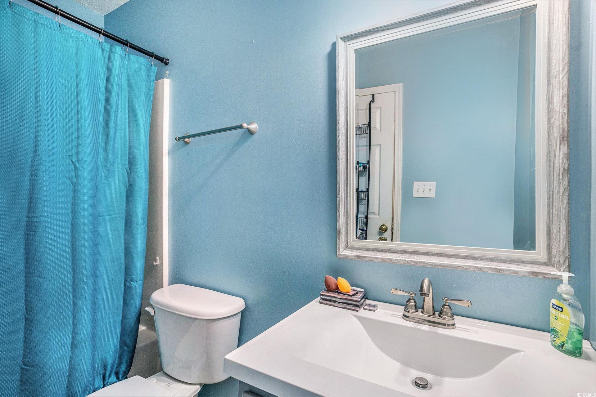 108 Carolina Pointe Way Photo 19