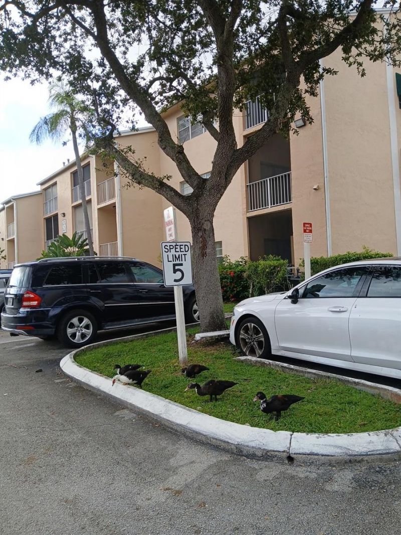 15300 SW 106th Terrace, Unit 520, Miami, FL 33196 Photo