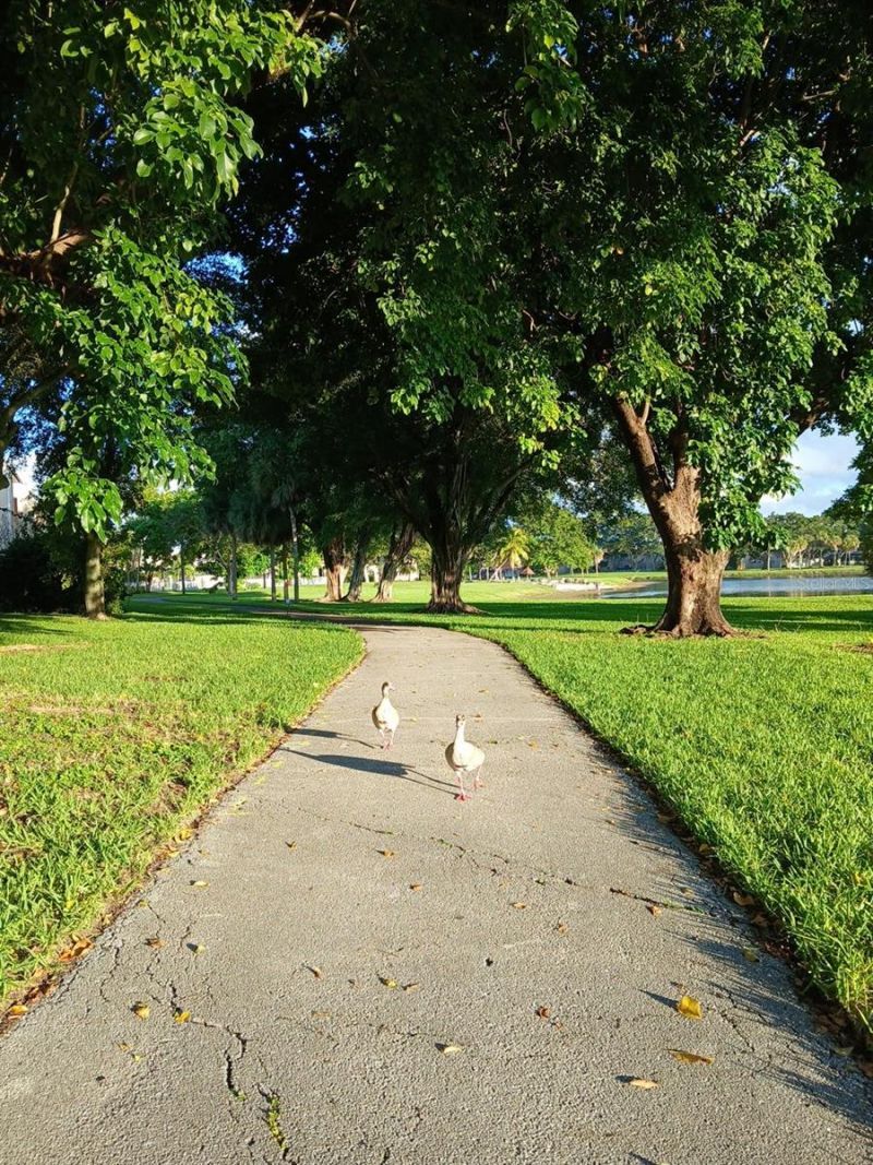 15300 SW 106th Terrace, Unit 520, Miami, FL 33196 Photo