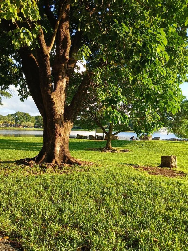 15300 SW 106th Terrace, Unit 520, Miami, FL 33196 Photo