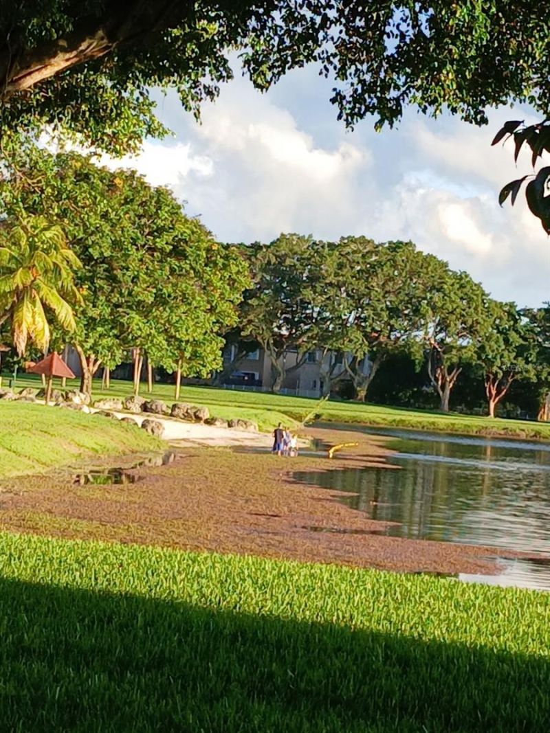 15300 SW 106th Terrace, Unit 520, Miami, FL 33196 Photo