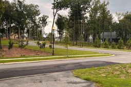 Timber Trail photo 4