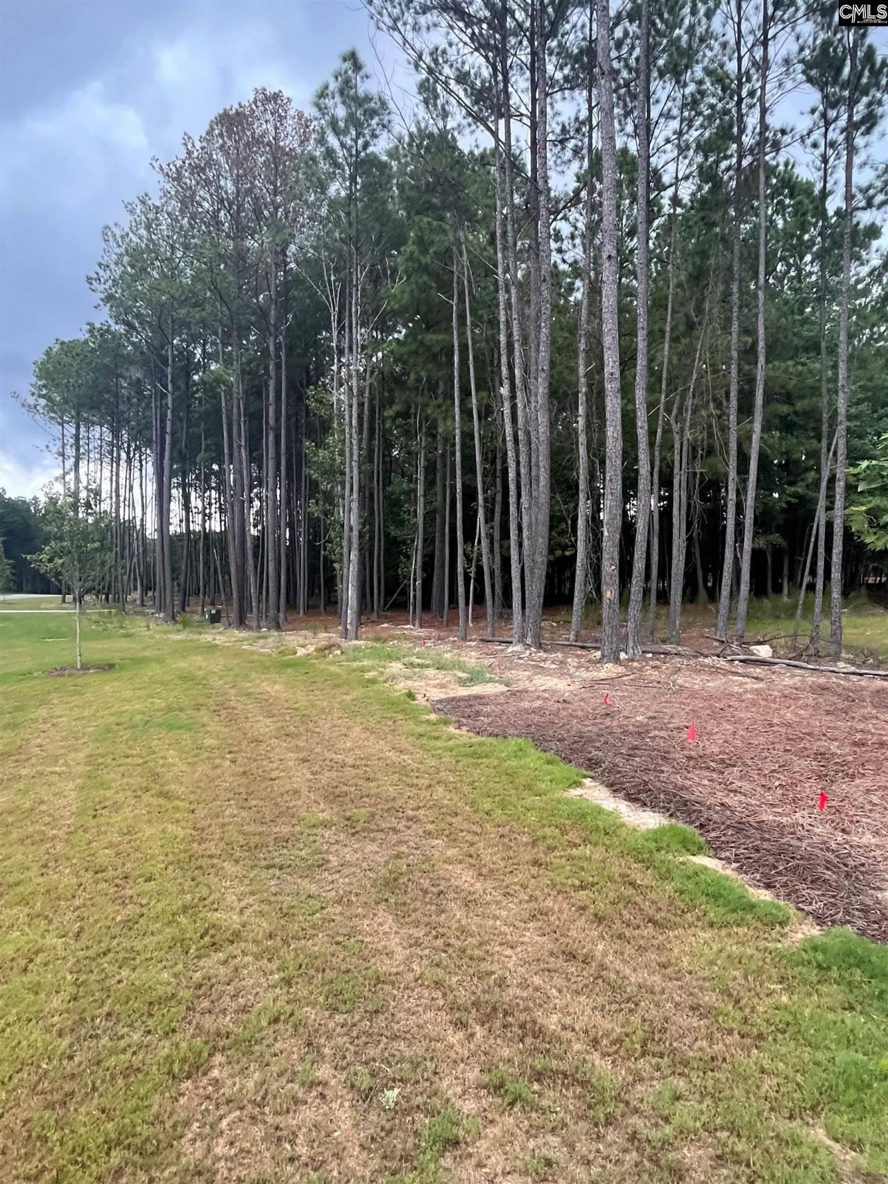 Timber Trail Photo 37