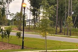 Timber Trail photo 4