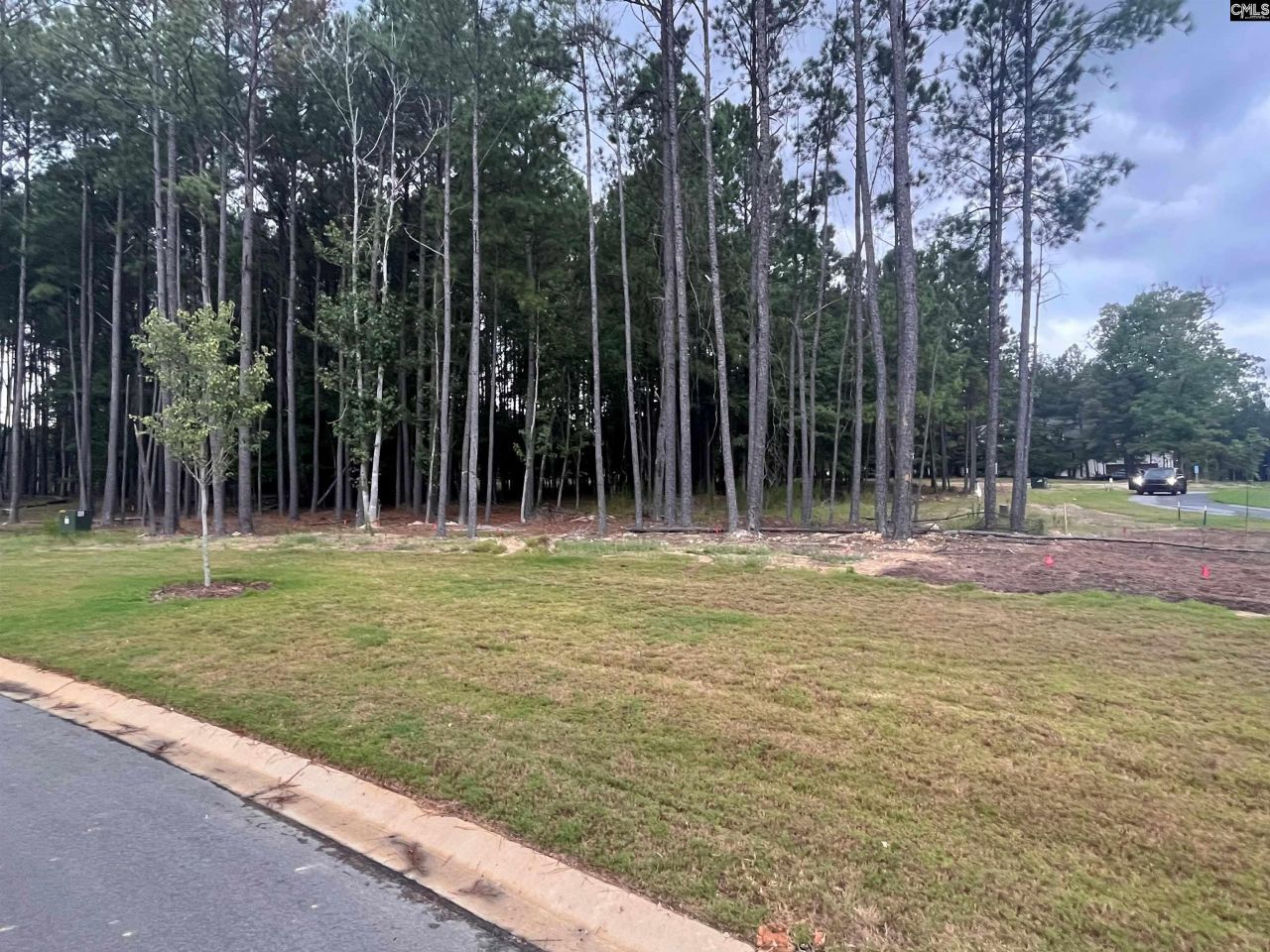 Timber Trail Photo 5