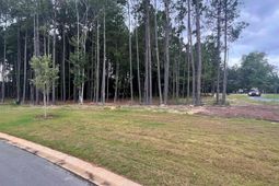 Timber Trail photo 4