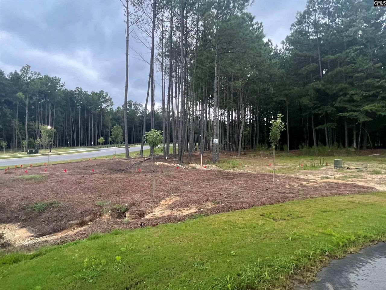 Timber Trail Photo 6