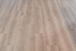 2551 Taylor Street photo 4