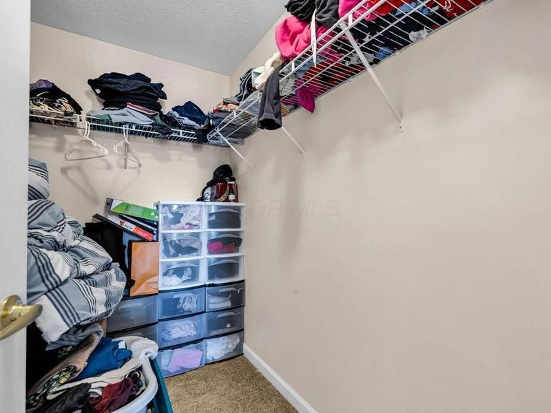 789 Hidden Springs Drive, Lewis Center, OH 43035 Photo 22